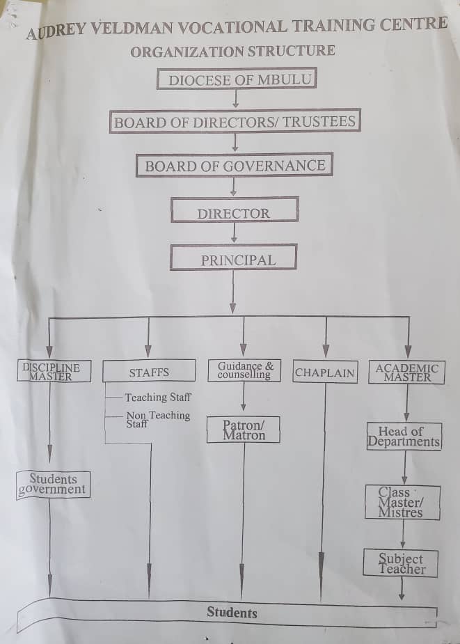 Organization Structure